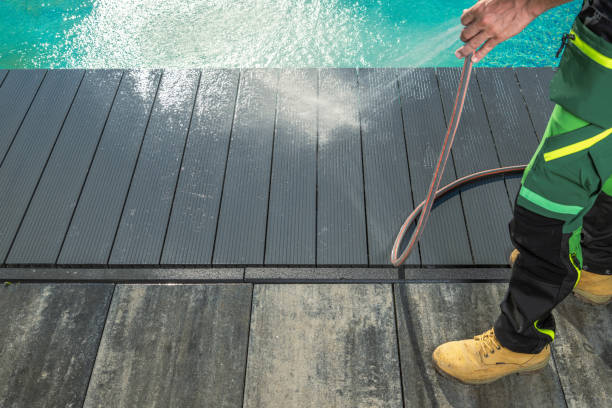 Best Roof Pressure Washing  in Naples Park, FL