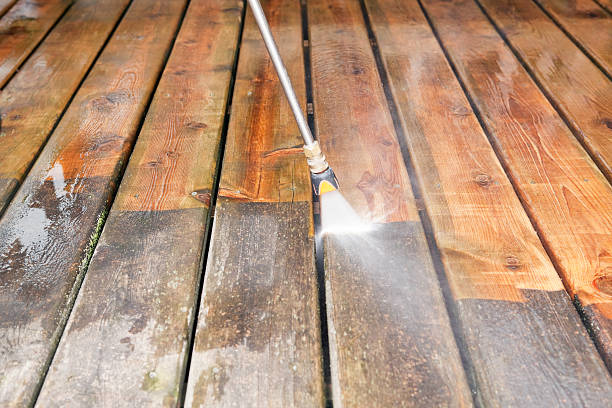 Best Exterior Home Cleaning  in Naples Park, FL