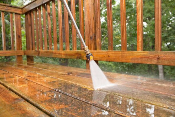 Best Garage Pressure Washing  in Naples Park, FL